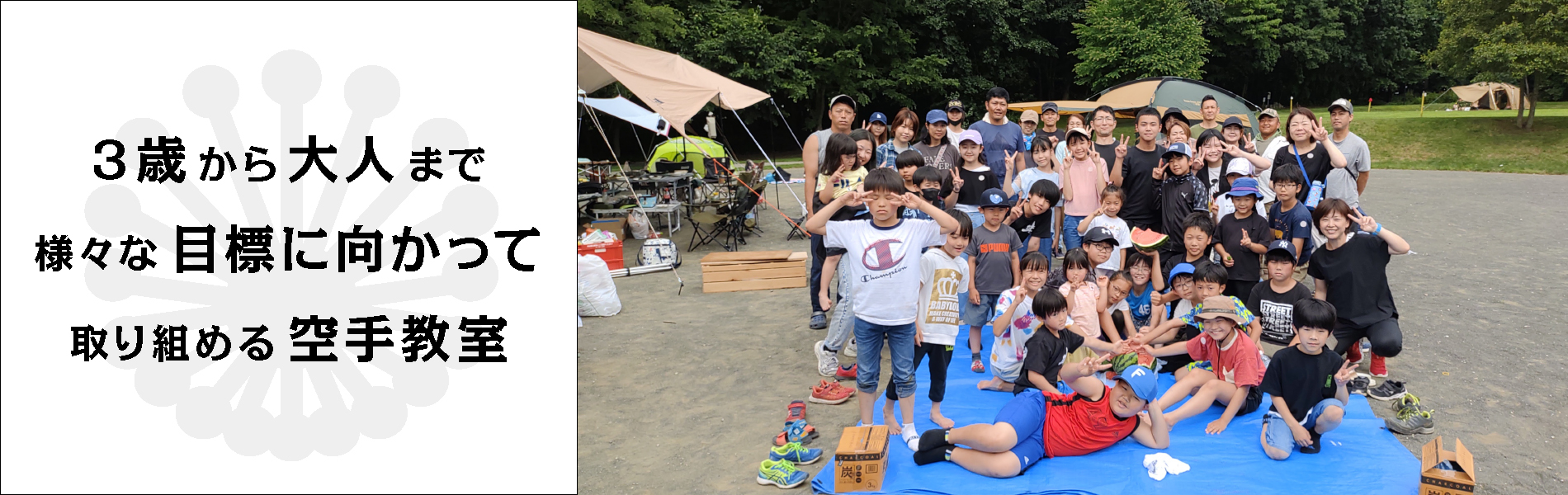 シンプルでカスタマイズしやすいWordPress.org登録テーマ